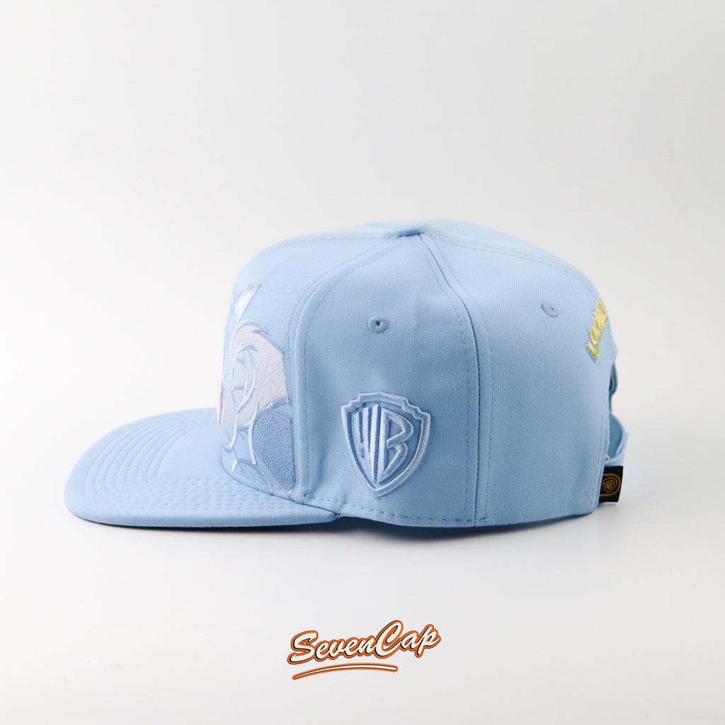 Snapback Silvestre y Piolin